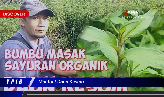 Ketahui 10 Manfaat Daun Kesum untuk Kesehatan, Kecantikan, dan Masakan