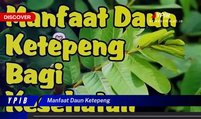 Temukan 9 Manfaat Daun Ketepeng untuk Kesehatan