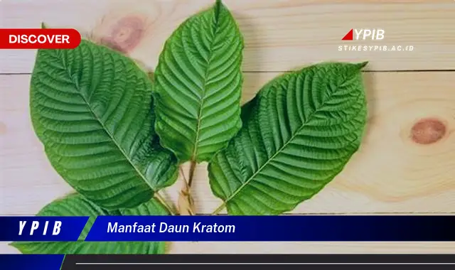 Temukan Manfaat Daun Kratom: Rahasia Kesehatan Alami