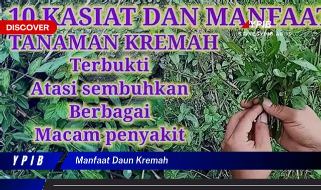 Temukan 7 Manfaat Daun Kremah untuk Kesehatan