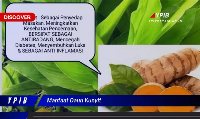 Temukan 7 Manfaat Daun Kunyit untuk Kesehatan Anda