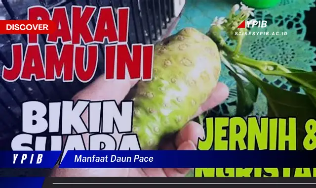 Ketahui 8 Manfaat Daun Pace untuk Kesehatan Anda