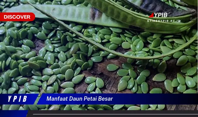 Ketahui 8 Manfaat Daun Petai Besar untuk Kesehatan Anda