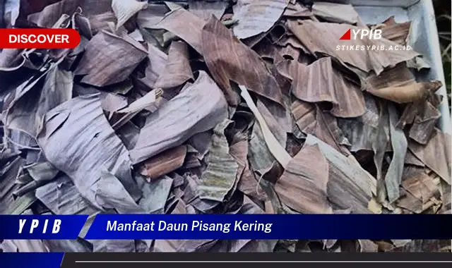 Ketahui 7 Manfaat Ajaib Daun Pisang Kering