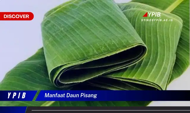 Ketahui 9 Manfaat Daun Pisang yang Mengejutkan