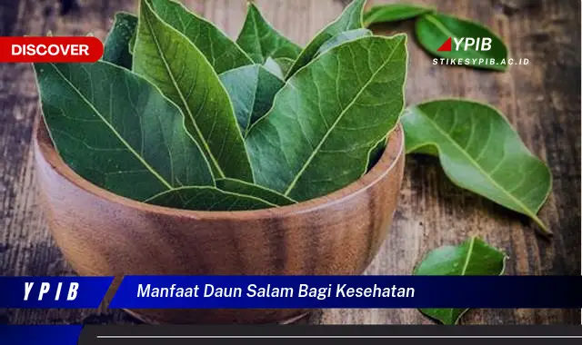 Temukan 5 Khasiat Daun Salam untuk Kesehatan