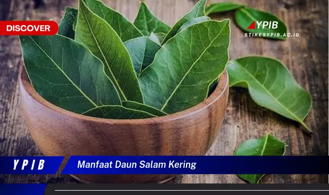 manfaat daun salam kering