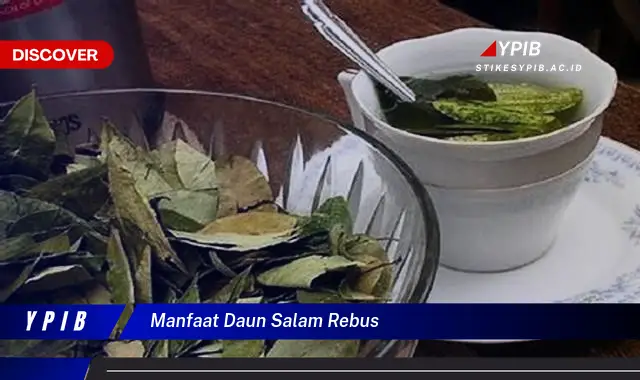 manfaat daun salam rebus