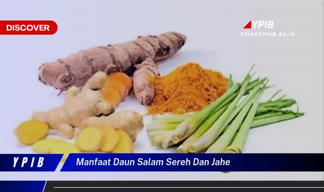 Temukan Manfaat Ajaib Daun Salam, Sereh, & Jahe untuk Kesehatan