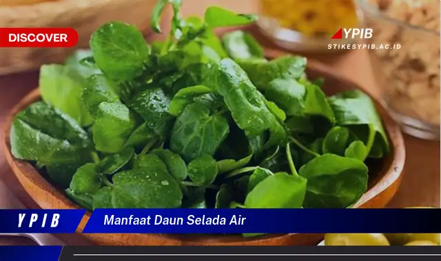 9 Manfaat Ajaib Daun Selada Air untuk Kesehatan