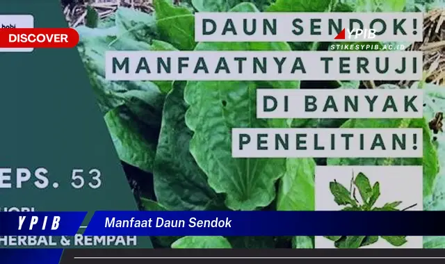 manfaat daun sendok