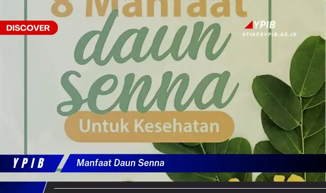 Temukan 7 Manfaat Daun Senna + Khasiat Tersembunyi