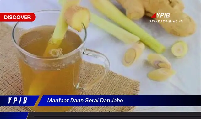 Ketahui 9 Manfaat Daun Serai dan Jahe untuk Kesehatan Tubuh Anda