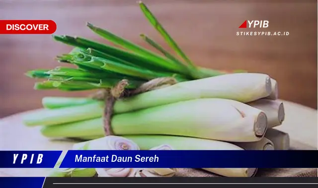 Ketahui 8 Manfaat Daun Sereh untuk Kesehatan Tubuh Anda