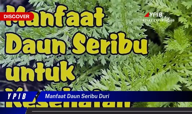 Ketahui 9 Manfaat Daun Seribu Duri untuk Kesehatan Tubuh Anda