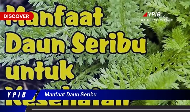 Ketahui 8 Manfaat Daun Seribu untuk Kesehatan Anda