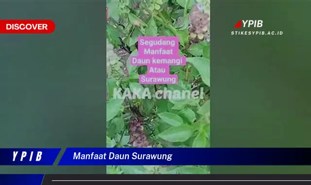 Ketahui 8 Manfaat Daun Surawung untuk Kesehatan dan Kecantikan