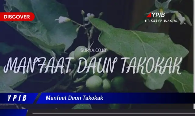 Temukan 7 Manfaat Daun Takokak untuk Kesehatan