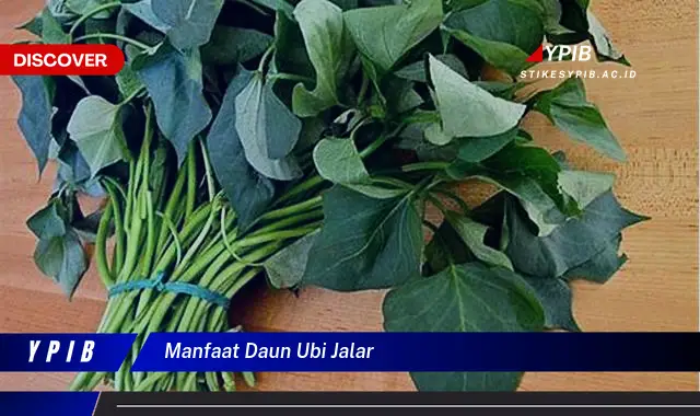 Ketahui Manfaat Daun Ubi Jalar yang Jarang Diketahui