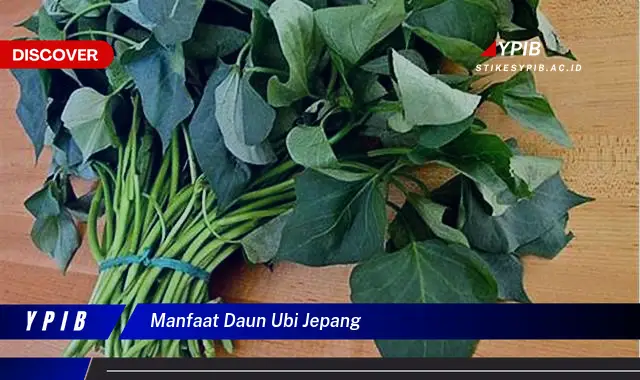 manfaat daun ubi jepang