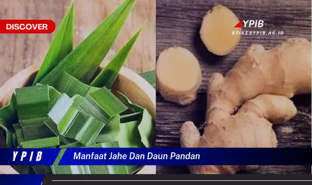 Ketahui 8 Manfaat Jahe dan Daun Pandan untuk Kesehatan Tubuh Anda