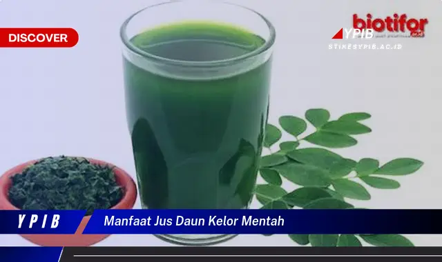 Ketahui 10 Manfaat Jus Daun Kelor Mentah untuk Kesehatan Tubuh Anda