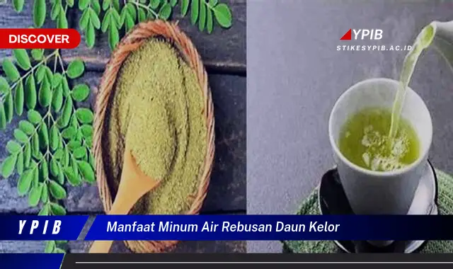 Ketahui 8 Manfaat Minum Air Rebusan Daun Kelor untuk Kesehatan Tubuh Anda