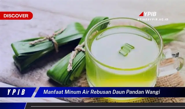 manfaat minum air rebusan daun pandan wangi