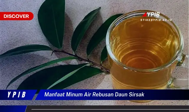 Ketahui 9 Manfaat Minum Air Rebusan Daun Sirsak untuk Kesehatan Tubuh Anda