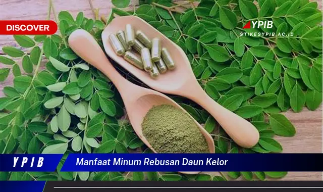 Ketahui 10 Manfaat Minum Rebusan Daun Kelor untuk Kesehatan Tubuh Anda