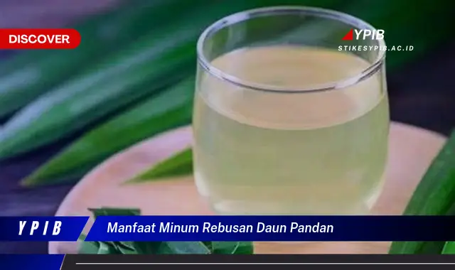 Ketahui 8 Manfaat Minum Rebusan Daun Pandan untuk Kesehatan Tubuh Anda