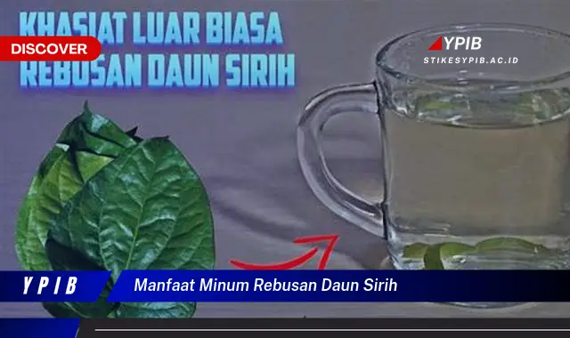 7 Khasiat Minum Rebusan Daun Sirih untuk Kesehatan Anda