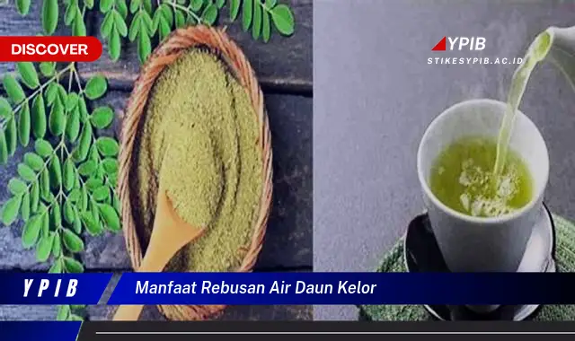 manfaat rebusan air daun kelor