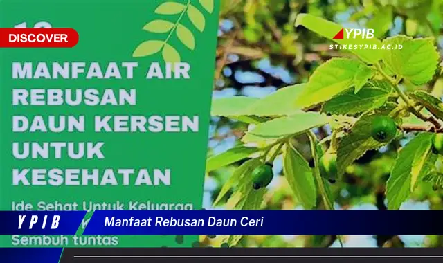 Ketahui 10 Manfaat Rebusan Daun Ceri untuk Kesehatan Anda