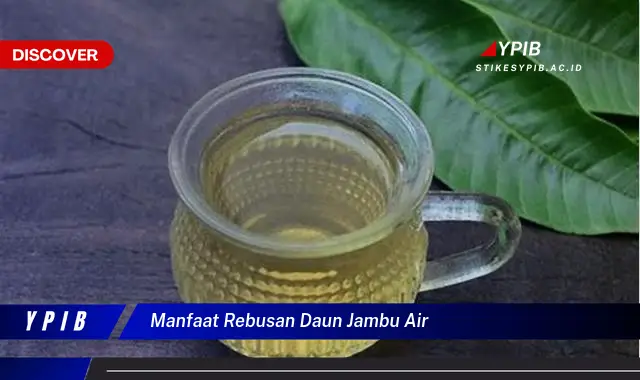 manfaat rebusan daun jambu air