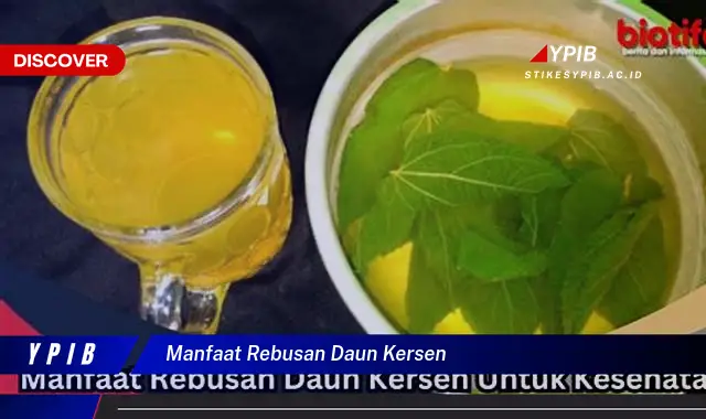 Temukan 7 Manfaat Rebusan Daun Kersen untuk Kesehatan