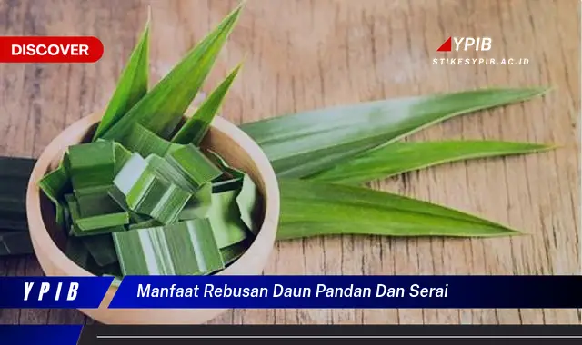 Ketahui 10 Manfaat Rebusan Daun Pandan dan Serai untuk Kesehatan Anda