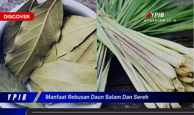 7 Manfaat Rebusan Daun Salam dan Sereh untuk Kesehatan Anda