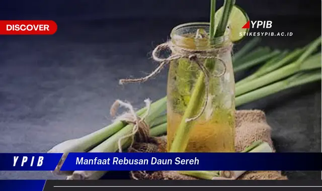 manfaat rebusan daun sereh