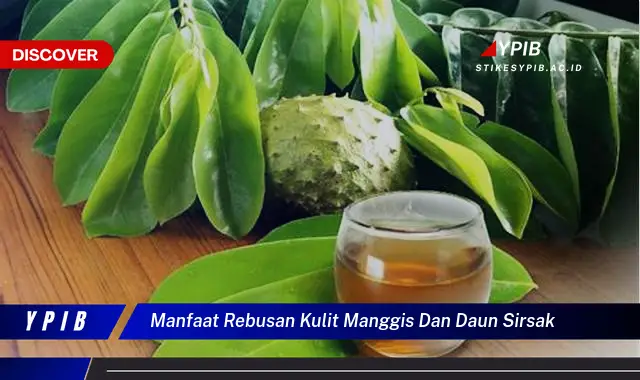 Ketahui 9 Manfaat Rebusan Kulit Manggis dan Daun Sirsak untuk Kesehatan Anda