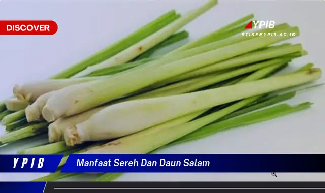 Ketahui 10 Manfaat Sereh dan Daun Salam untuk Kesehatan dan Masakan Anda