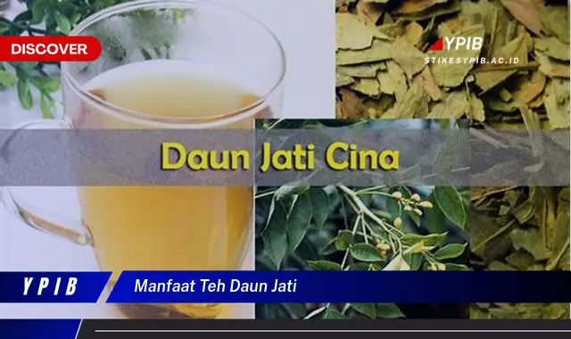 manfaat teh daun jati