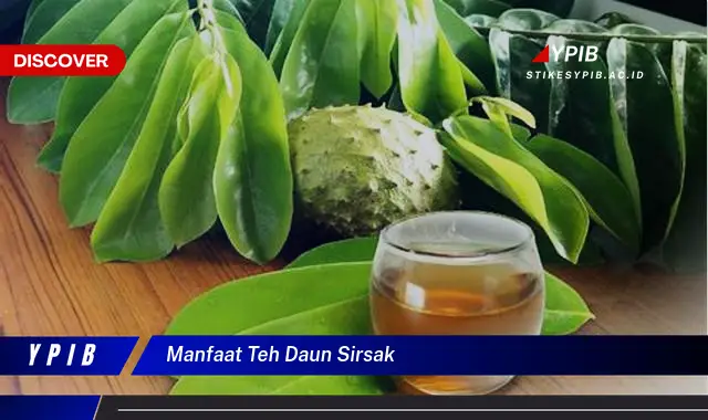 Ketahui 7 Manfaat Ajaib Teh Daun Sirsak untuk Kesehatan