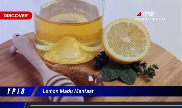 lemon madu manfaat lemon madu manfaat
