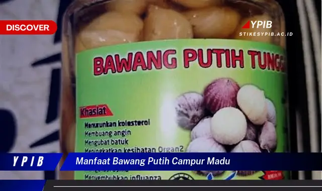 manfaat bawang putih campur madu