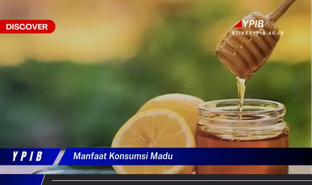 manfaat konsumsi madu