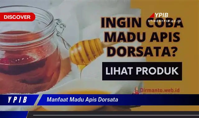 manfaat madu apis dorsata