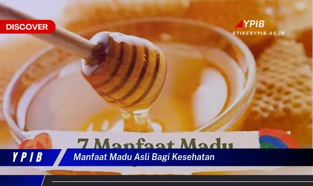 manfaat madu asli bagi kesehatan