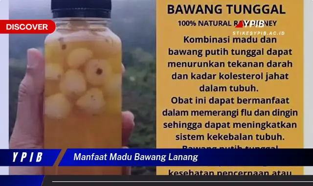 manfaat madu bawang lanang