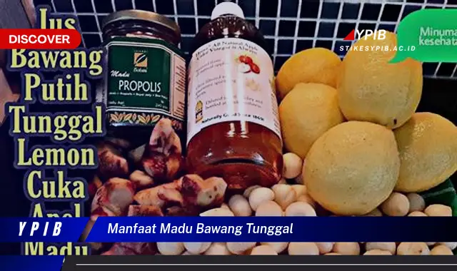 manfaat madu bawang tunggal